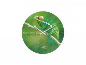 Часы настенные Nicole Time NT503 в Нюрбе - nyurba.mebel-nsk.ru | фото